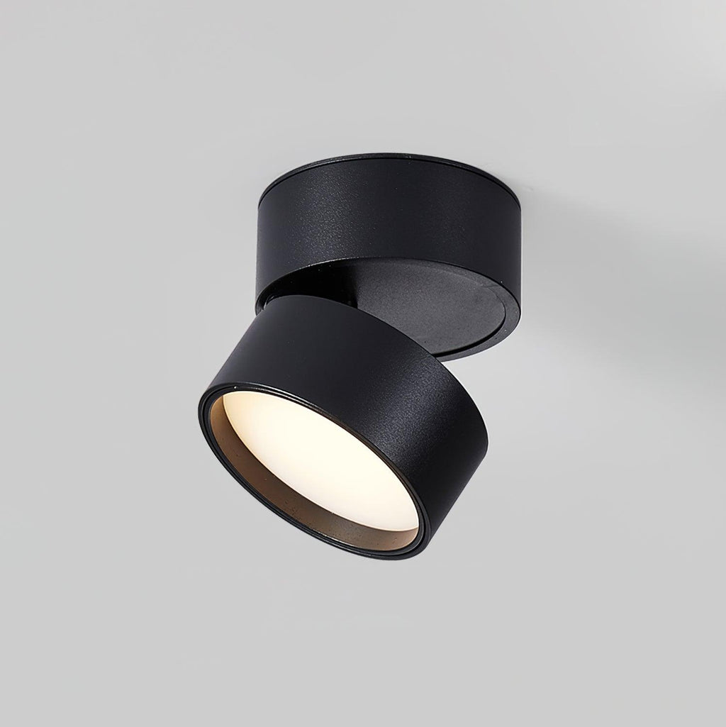 Lampa Sufitowa Favilla Montaż Natynkowy
