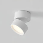 Lampa Sufitowa Favilla Montaż Natynkowy