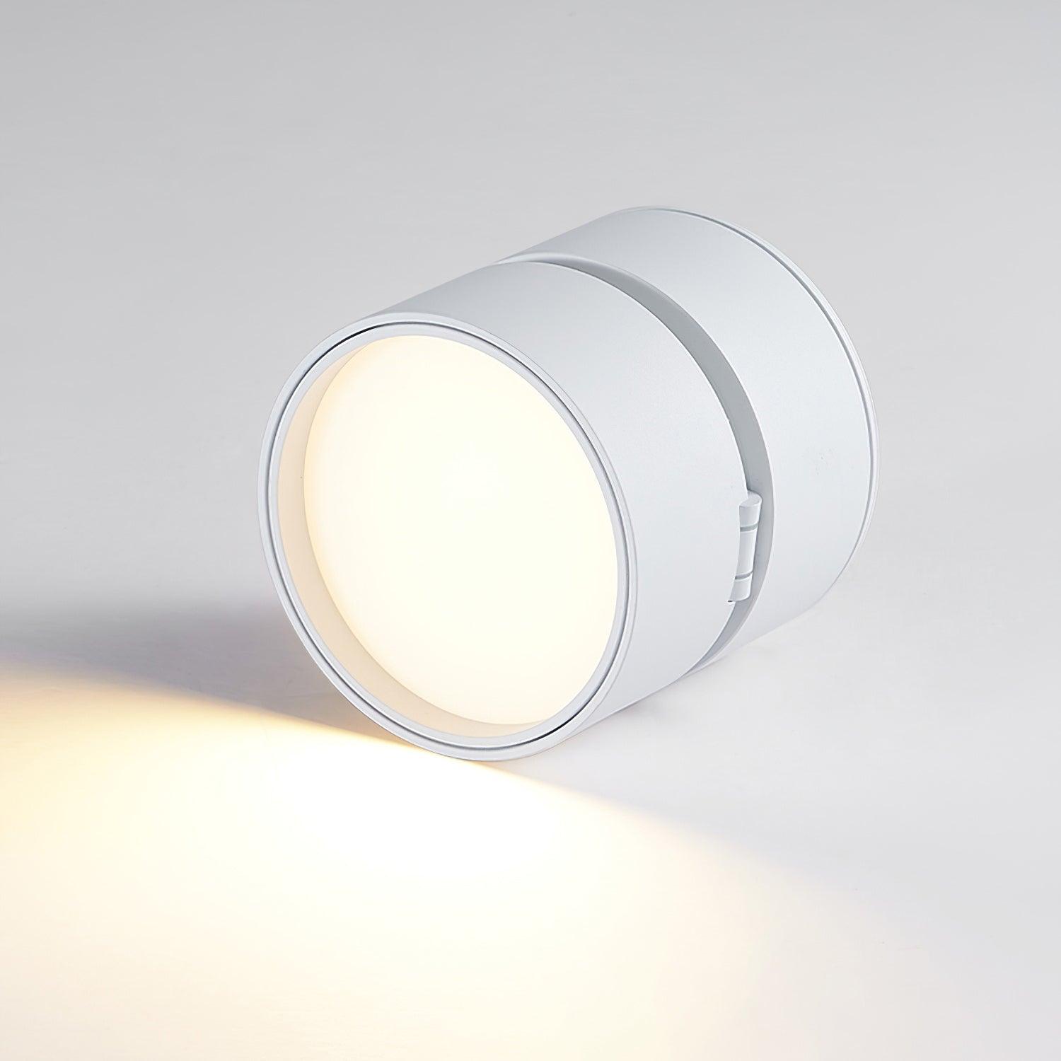 Lampa Sufitowa Favilla Montaż Natynkowy