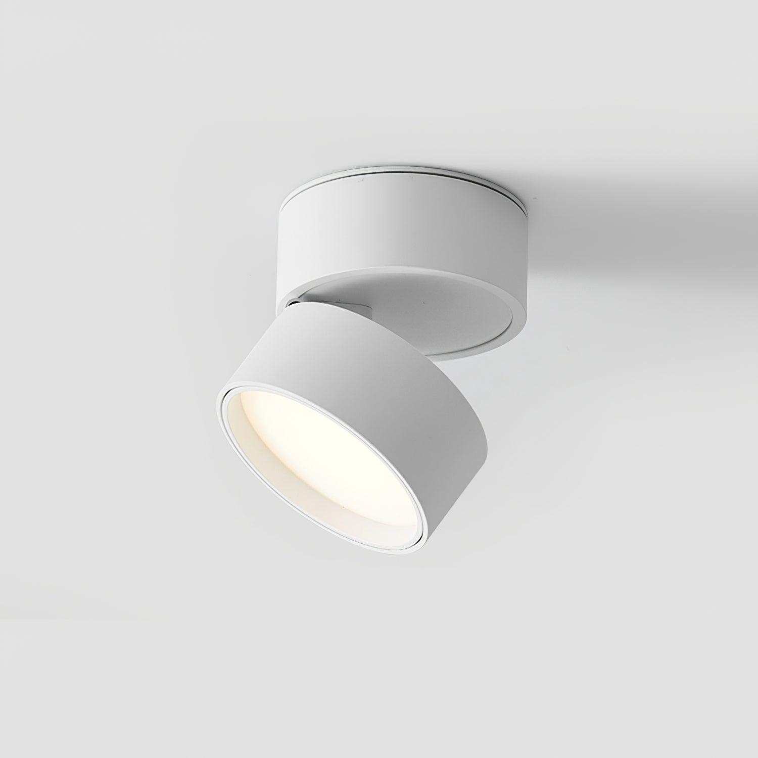 Lampa Sufitowa Favilla Montaż Natynkowy