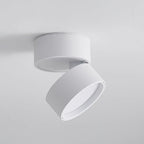 Lampa Sufitowa Favilla Montaż Natynkowy