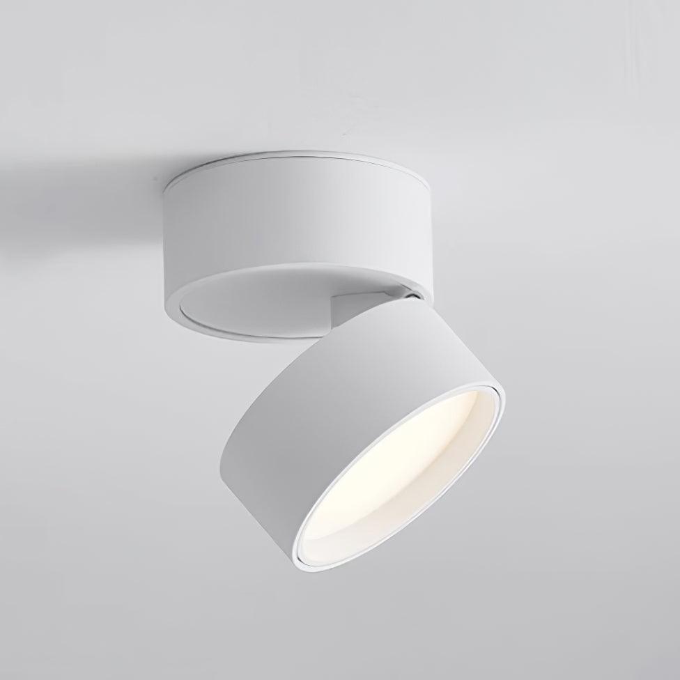 Lampa Sufitowa Favilla Montaż Natynkowy
